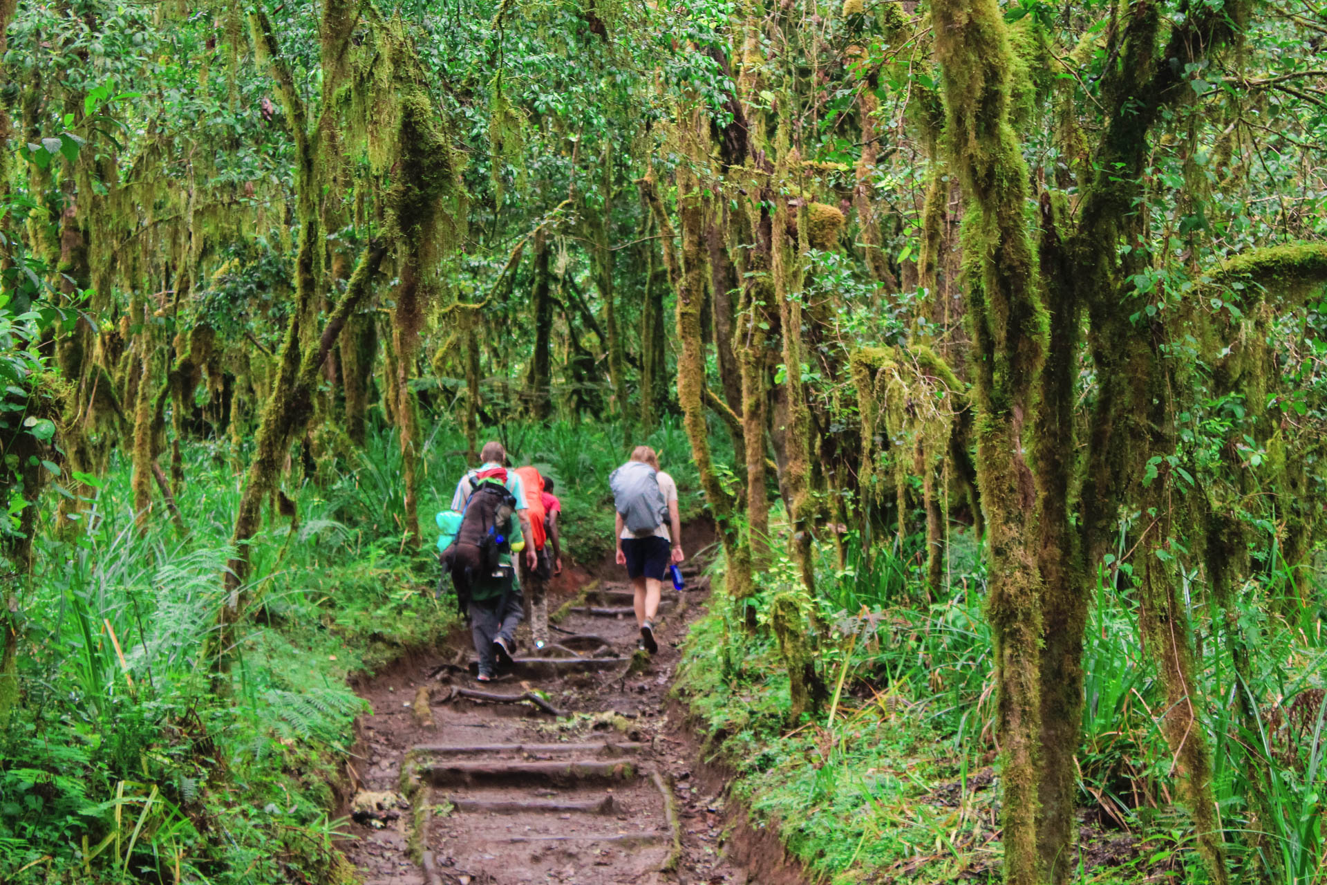 Kilimanjaro-Climb-16