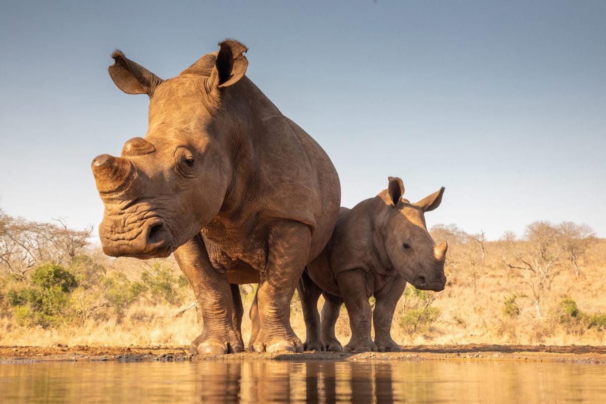 Mkomanzi-National-Park