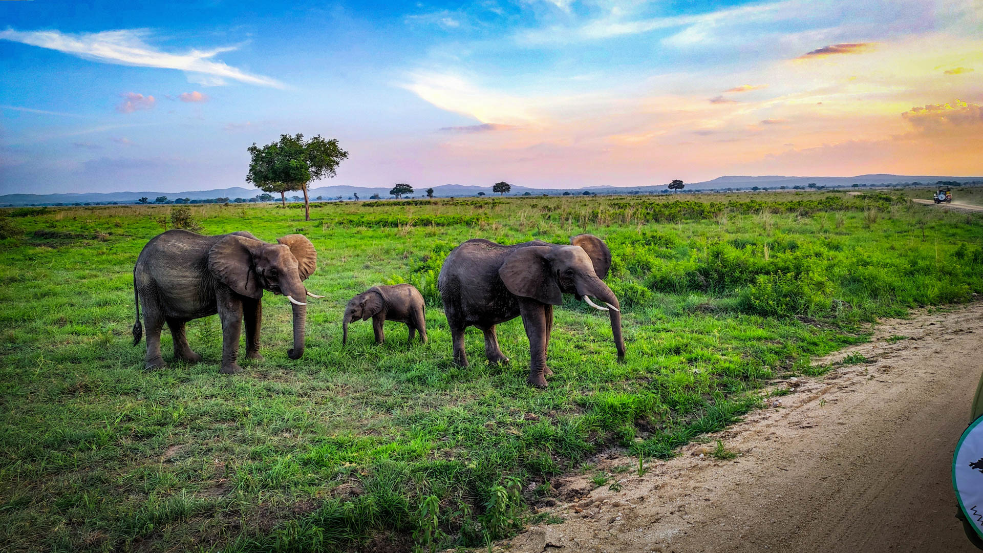 Mylo Africa Safaris - Safaris (8)