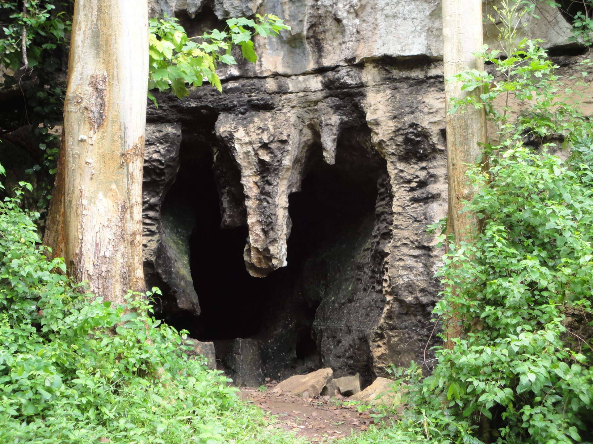 Amboni_Caves_Tanga_06