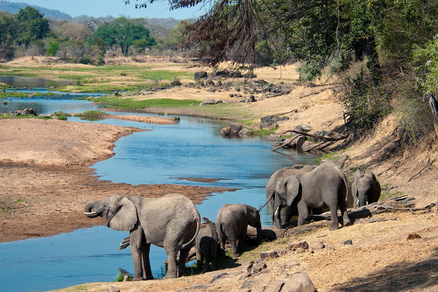 Ruaha National Park (3)