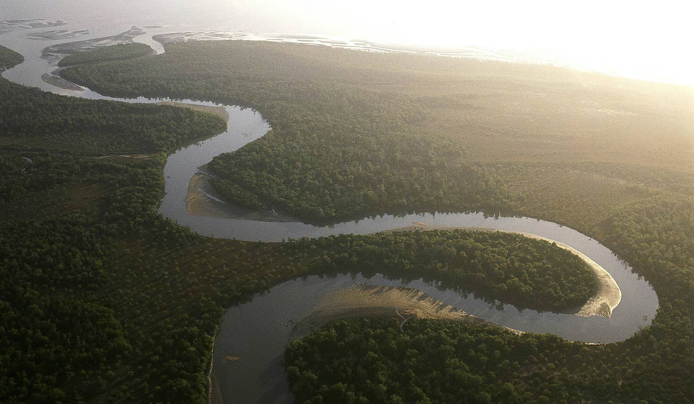 Saadani_National_Park_Wami_River_40