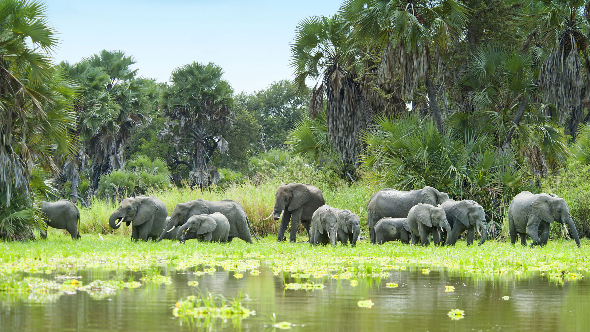 Selous Game Reserve (1)