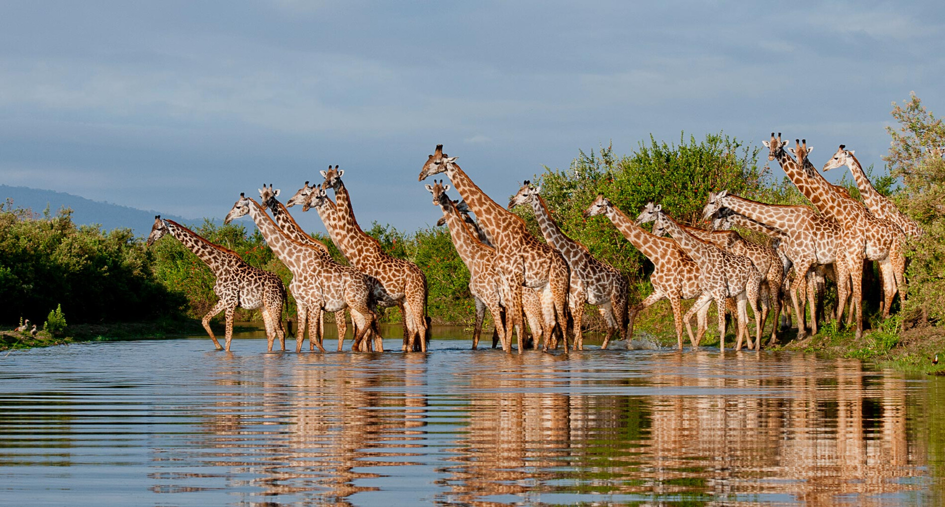 Selous Game Reserve (2)