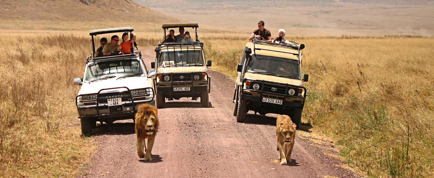 wildlife-safaris-in-tanzania