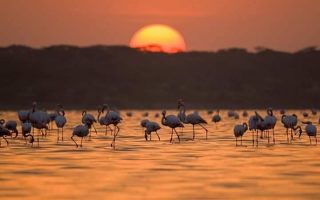 manyara tz manyara tz